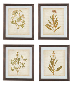 Dyani Signature Design by Ashley Wall Art