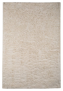Alonso Signature Design by Ashley Rug Medium